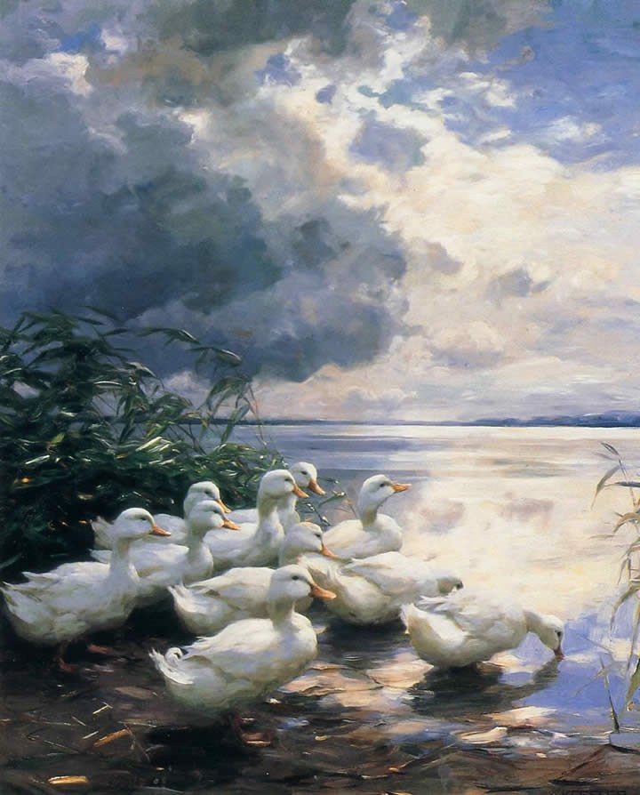 Alexander Koester Ducks in the Morning